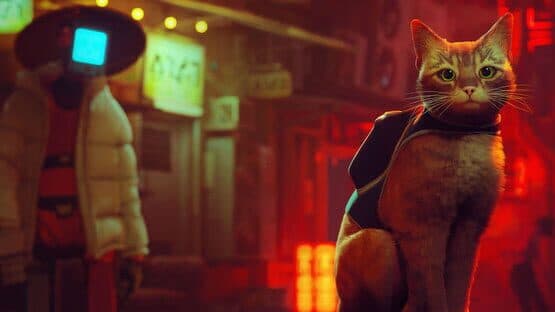 Stray screenshot
