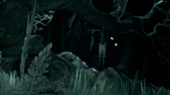Visage screenshot