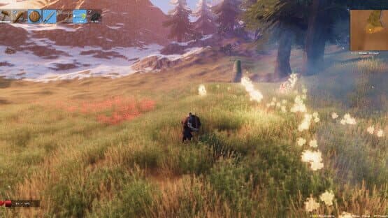 Valheim screenshot