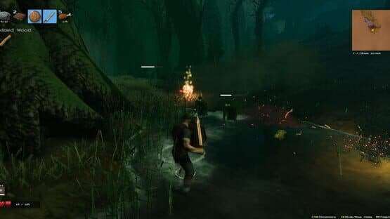 Valheim screenshot