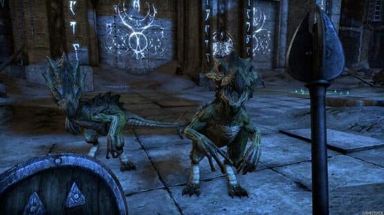 The Elder Scrolls Online screenshot